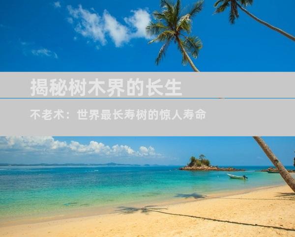 揭秘树木界的长生不老术：世界最长寿树的惊人寿命