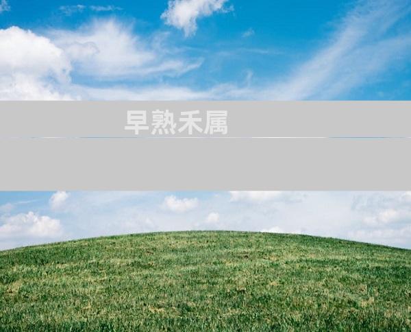 早熟禾属