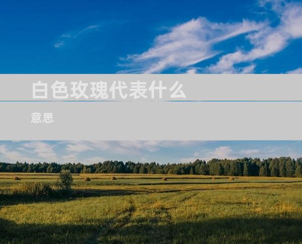 白色玫瑰代表什么意思