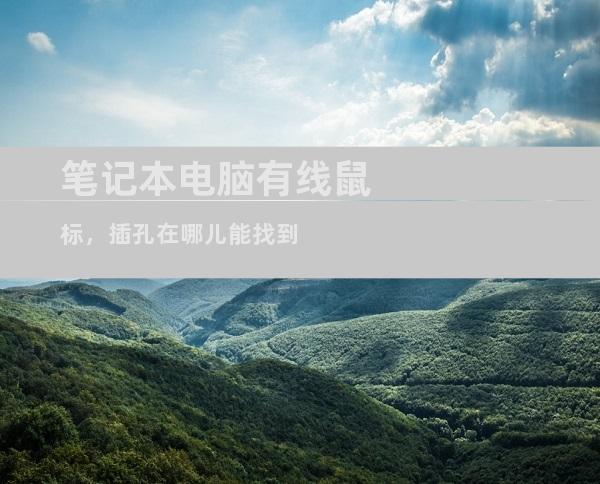 笔记本电脑有线鼠标，插孔在哪儿能找到